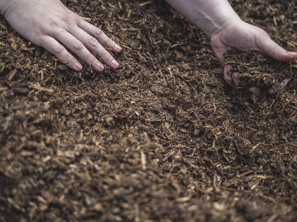 How Human Composting Works | About the Process | Recompose